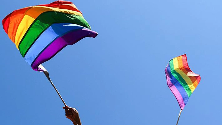 Hands holding multi-coloured Pride flags 