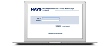 Hays Timesheets | Hays UK